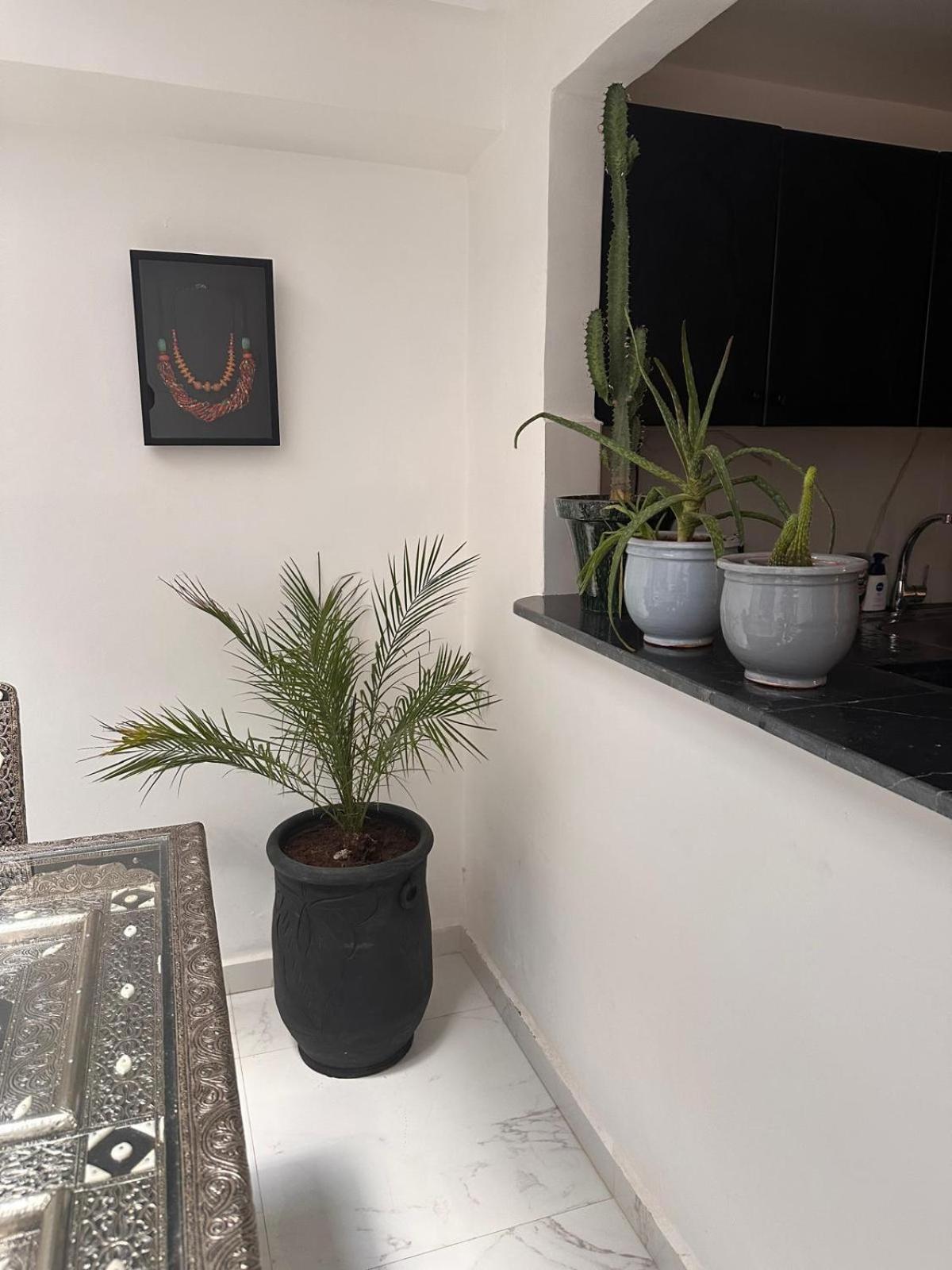 Riad Darnooz Marrakesh Eksteriør billede